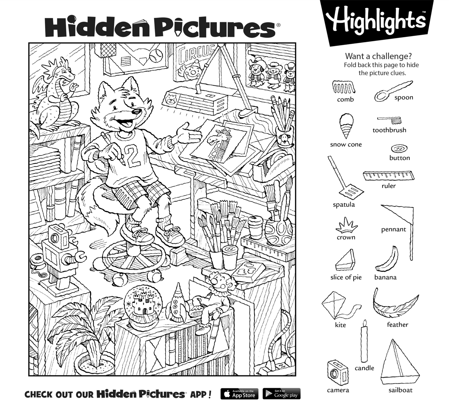 Libro Hidden Picture